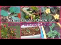 March End Rooftop Kitchen Garden🍅🥒🌶🌺Overview || Summer Garden || Small Terrace Garden Ideas ||Garden