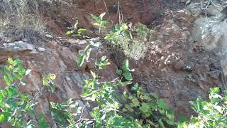 hiking lake Meredith Fritch Texas 2