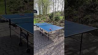 Table tennis on dzikieswinie #sports #howto #tabletennis #lesson #learning #sport