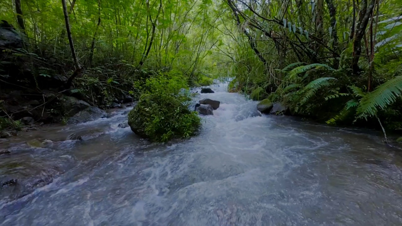River Sounds | Sleep Sounds 12 Hours of Endless River to Ease Your Mind into Sleep [No Talking]