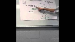 20151021 080539 130504988436699