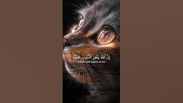 أكتب شي تؤجر عليه #قران #تلاوة_خاشعة #قرآن_كريم #ارح_سمعك♡♡♡ #foryou #اكسبلور #duet #دويتو #قرآن