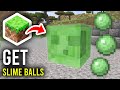 3 Ways To Get Slime Balls In Minecraft - Step By Step