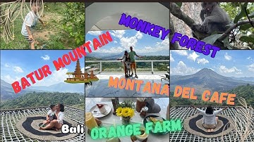 Things to do in Ubud, BALI with KIDS | Monkey Forest Bali | Montana Del Cafe | Orange Farm Bali