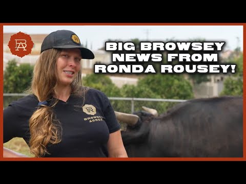 Auctioning a Wagyu Steer We Raised by Hand!