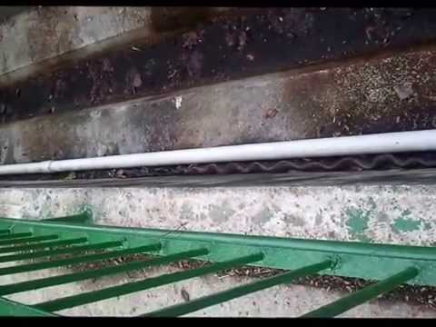 Python snake 3 meter spotted at Old KTM Rail Road searching for foods. ( Part 3 New)
