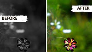 How to change black and white pictures into colorized pictures in just one click screenshot 4