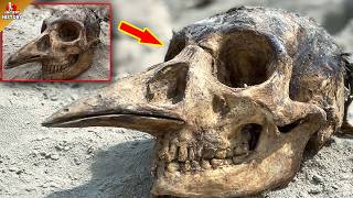 Top 10 Recent Archaeological Discoveries That Are Rewriting Everything We Know About Human History!