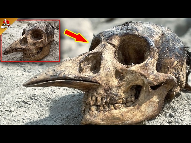 Top 10 Recent Archaeological Discoveries That Are Rewriting Everything We Know About Human History!