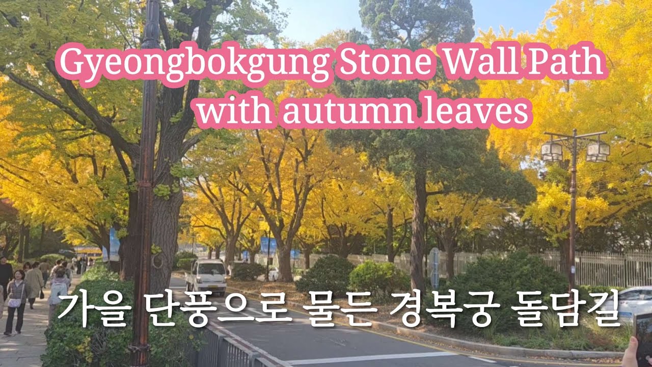 가을 단풍으로 물든 경복궁 돌담길Gyeongbokgung Stone Wall Path with Autumn Leaves