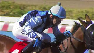 Vidéo de la course PMU PRIX BOROCOTO