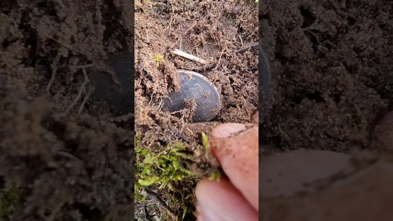 100 years old bus 😱