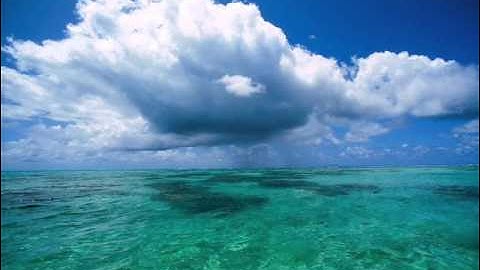 سورة القمر .. الشيخ وليد عاطف