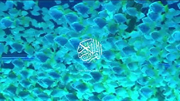 تلاوة عطرة 🌿لسورة الفرقان الجزء الأول 🌿بصوت القارئ الشيخ🌿 العيون الكوشي 🌿قرآن كريم 🌿