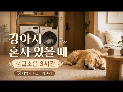강아지 혼자 있을 때 틀어주는 백색소음 3시간｜세탁기·건조기 생활소음