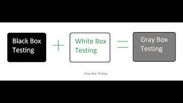 Grey Box Testing