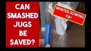 Winter Sowing Prep Tip - SMASHED WINTER SOWING JUGS. Can they be saved?