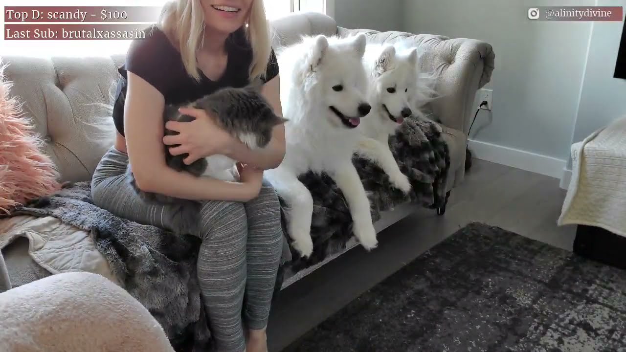 Adorable pets of Alinity