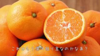 みかん/三兄弟(関ジャニ∞)【ボカロカバー】
