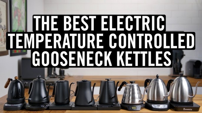 The 9 Best Gooseneck Kettles of 2024