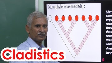 21.Botany | Taxonomy & systematic botany | Cladistics
