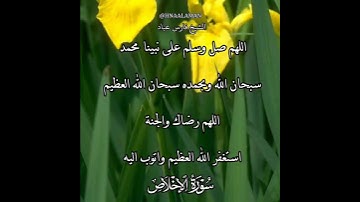 سورة الإخلاص | الشيخ فارس عباد،استغفر الله العظيم واتوب اليه، تلاوه خاشعه(3)