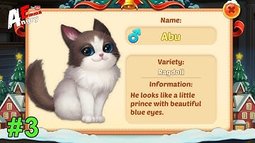 😻Kitten Match gameplay #3