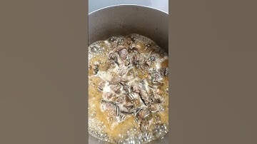 #music Rắn xào xã ớt