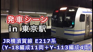 【E217系の日】JR横須賀線 E217系(Y-18編成11両+Y-113編成4両) “快速 津田沼行き” 東京駅を発車する 2019/02/17