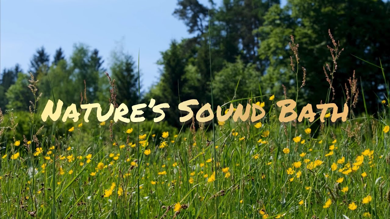 Nature’s Sound Bath | Meditative Gamma State | Restorative Therapy