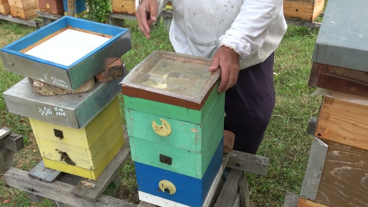 Kontrola stanja zaliha i pčela u oplodnjacima | Toplota ne pomaže