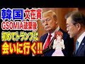 🇰🇷【韓国】🇰🇷文在寅大統領はどうしてもトランプに会いたいそうです！…【ウォン安】