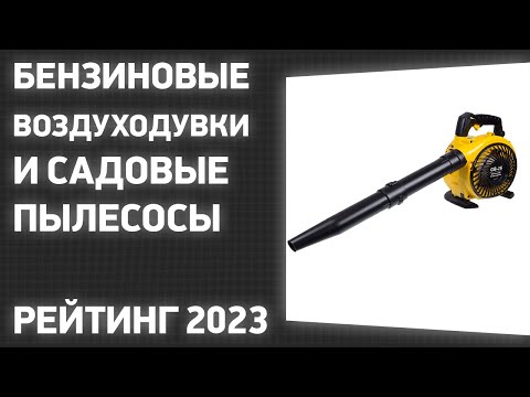 ТОП—7. Лучшие бензиновые