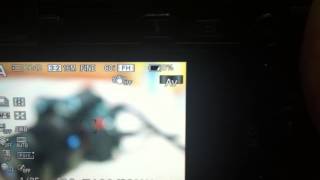 IMG 1870