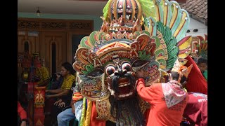 Barong Jaranan Singo Tutur Budoyo Banyuwangi Atraksi Setelah Arak2an di Wil Utara Pandemi 2021