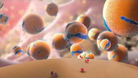 Familial Hypercholesterolemia - English