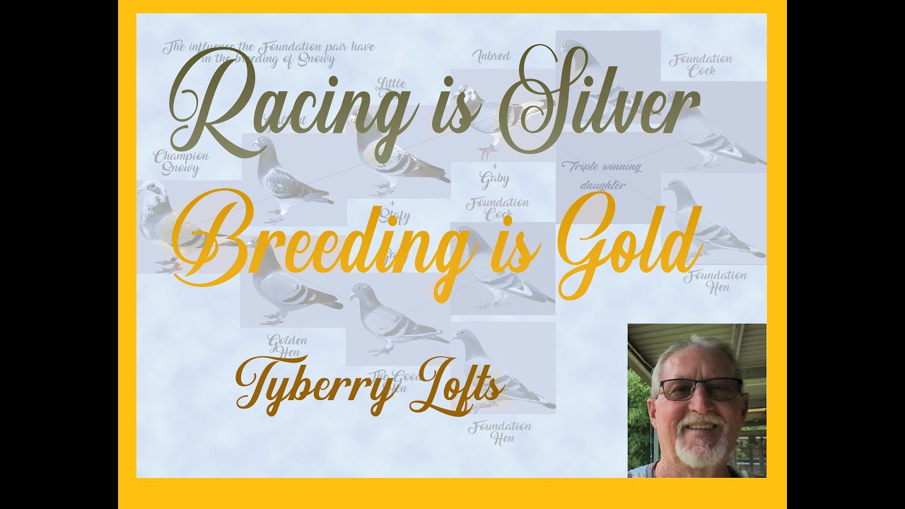 Мое разведение 2025