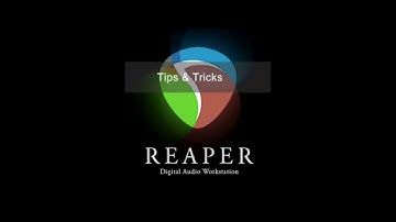 Reaper DAW: Sample Start Automation !