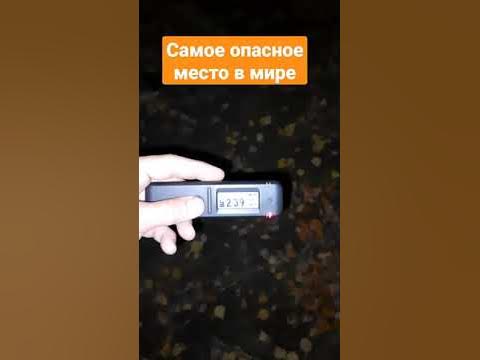 Самый опасный лес в мире -Рыжий лес в Чернобыле #shorts - YouTube