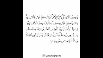 القارئ سعد الغامدي - سورة الأنعام - من الآية 102 إلى الآية 104