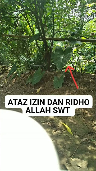 Potensi diri Elemen Angin..menambah daya gerak