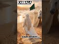 karbala 🥲...... #gazi_ayub01 #ringtone #duet #love