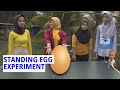 Egg-balancing Magic: Learn How to Make an Egg Stand on Its Own | Trans 7 Global (04/12/23)