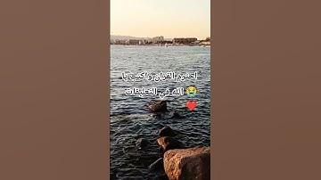 قران كريم للاطفال بصوت جميل يريح القلب وتنسيك اللهم 😭 #المصحف #اكسبلور #لايك #تريند_يتيوب #قرآن