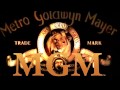 MGM Holdings Logo MGM Holdings Logo