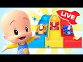 🔴 LIVE 🔴 Learn colors, numbers and shapes with Cuquín | Educational videos for kids