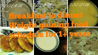 Weight gaining food schedule for babies (breakfast to dinner) - Weight gaining food for 1+ year baby