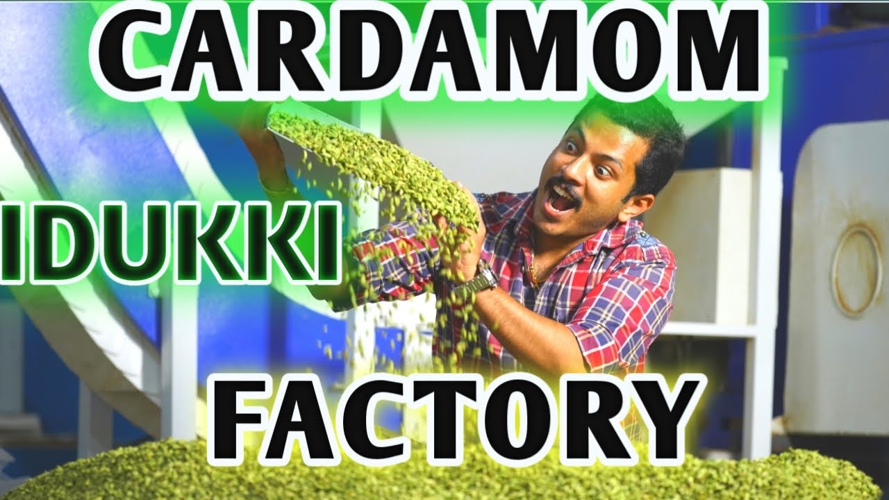 ഇടുക്കിയിലെ ഏലക്ക ഫാക്ടറി  Export to UAE, Oman, Saudi, Europe:  Grading & Sorting,