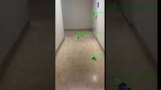 Yolo v2 image detection