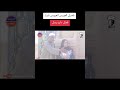 اللقطة دي ما بتتفوت شوف النهاية فضيل قلب اضحك سودانية كوميدي اضحكو بحب اشوفكو مبسوطين